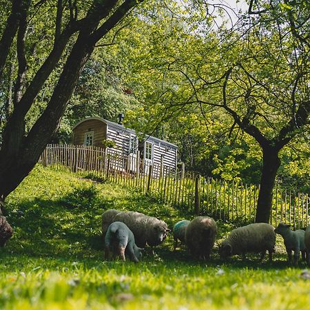 Somerset Shepherds Huts Winsham Ngoại thất bức ảnh