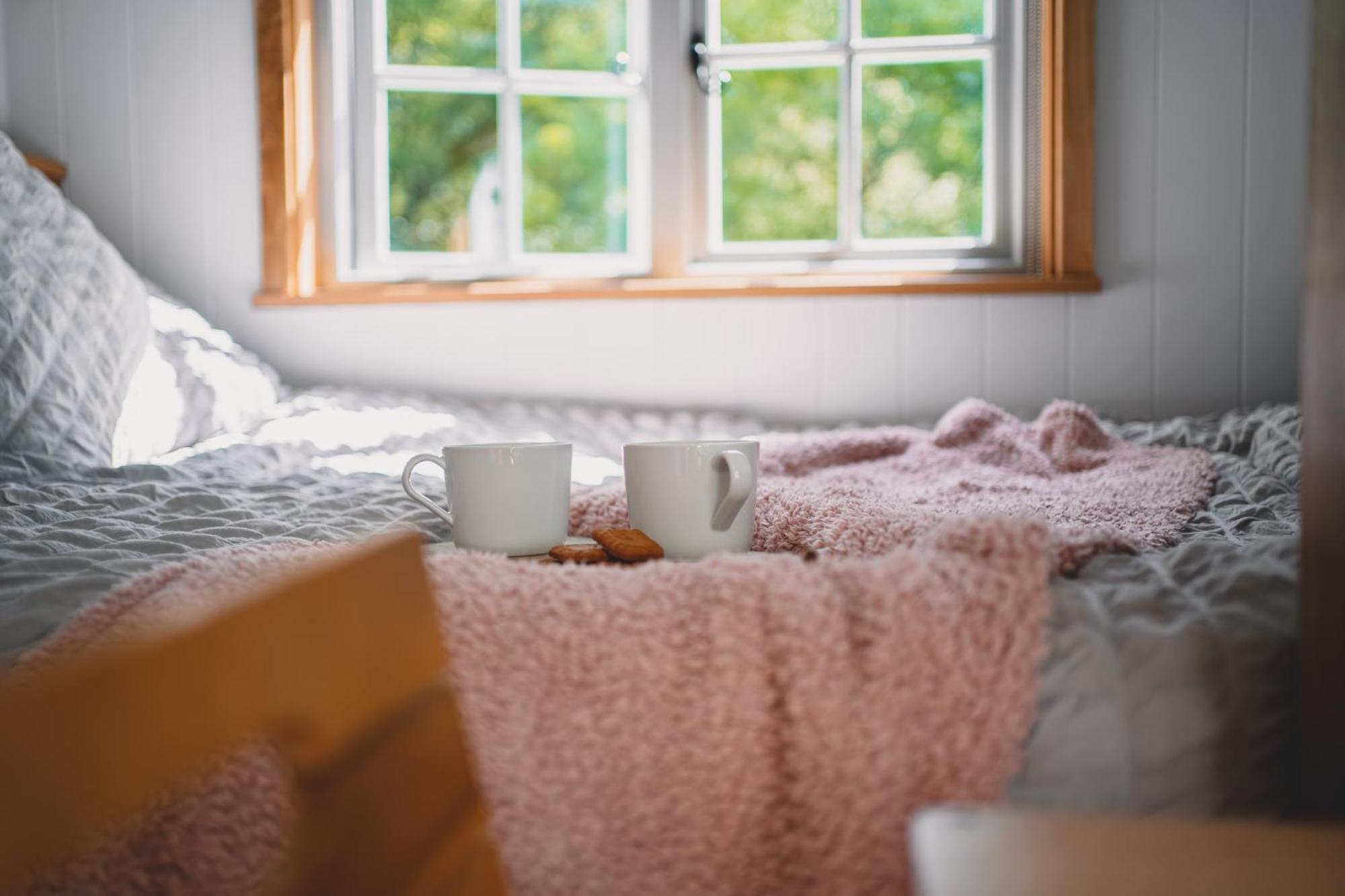 Somerset Shepherds Huts Winsham Ngoại thất bức ảnh